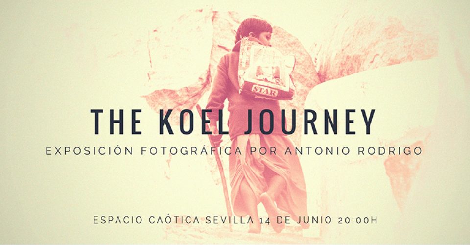 exposicion antonio rodrigo en sevilla